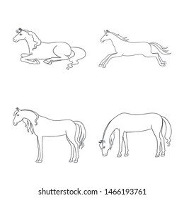 Vector design of stallion and galloping icon. Set of stallion and riding stock symbol for web.