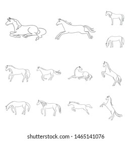 Vector design of stallion and galloping symbol. Collection of stallion and riding stock vector illustration.