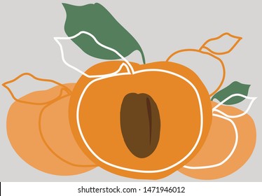 Vector design of stylized simple apricot shapes, multipurpose conceptual design.