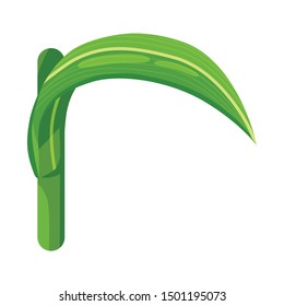 Vector design of sugar cane stalk sign. Stalk and cane stock vector illustration.