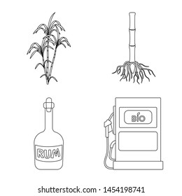 Vector design of sugar and field logo. Set of sugar and plantation vector icon for stock.