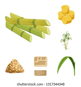 Vector design of sugarcane and cane icon. Set of sugarcane and field stock symbol for web.