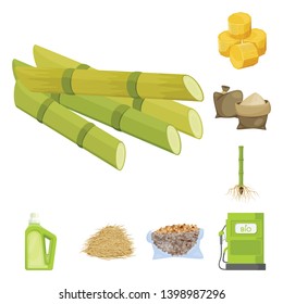 Vector design of sugarcane and cane logo. Set of sugarcane and field vector icon for stock.