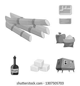 Vector design of sugarcane and cane sign. Collection of sugarcane and field stock vector illustration.