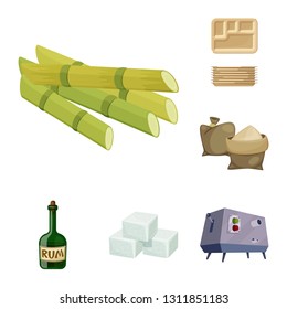 Vector design of sugarcane and cane sign. Collection of sugarcane and field stock vector illustration.