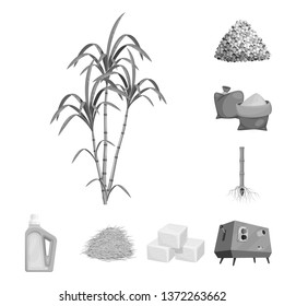 Vector design of sugarcane and cane sign. Set of sugarcane and field vector icon for stock.