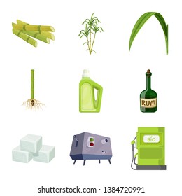 Vector design of sugarcane and cane sign. Set of sugarcane and field stock symbol for web.