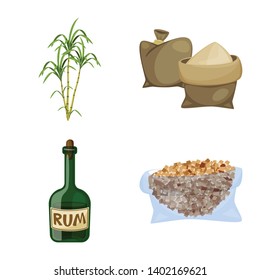 Vector design of sugarcane and cane sign. Set of sugarcane and field vector icon for stock.