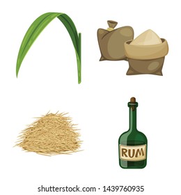 Vector design of sugarcane and cane symbol. Set of sugarcane and field vector icon for stock.