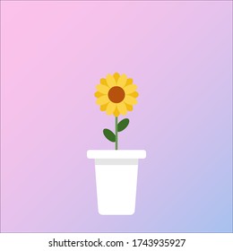 Diseño vectorial de un girasol en una maceta de flores aislada en fondo rosado.flor de concepto de ilustración vectorial en verano.