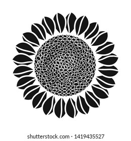 Vector design of sunflower and sunshine sign. Collection of sunflower and heat stock vector illustration.