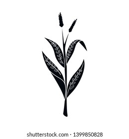 Vector design of sweet and corn logo. Set of sweet and botanical stock vector illustration.