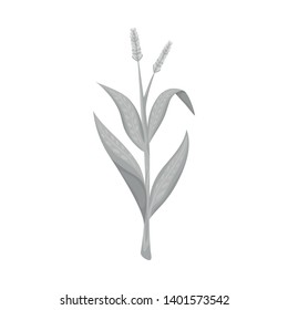 Vector design of sweet and corn symbol. Collection of sweet and botanical stock vector illustration.