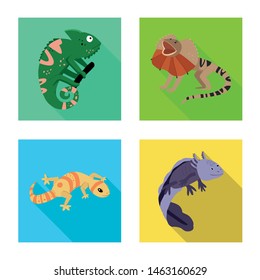 Vector design of tail and fauna sign. Set of tail and environment stock symbol for web.