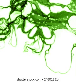 Vector design template with abstract green paint strokes, splashes and swirls on white background  for cards, banners, flyers