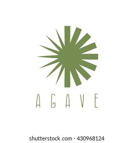 vector design template of the agave plant 
