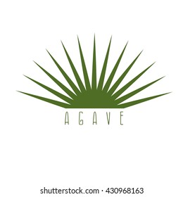 Vector Design Template Of The Agave Plant 