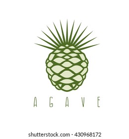 vector design template of the agave plant 