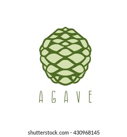 vector design template of the agave root