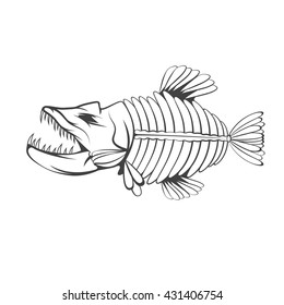 vector design template of aggressive tropical fish skeleton