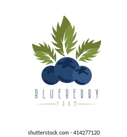 vector design template of the blueberry farm 
