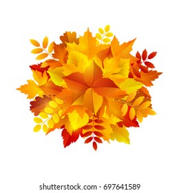 Vector design template with bright autumn leaves bouquet.