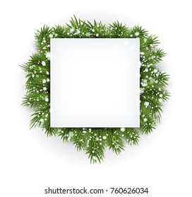 vector design template with coniferous tree branches and place for text. Isolated on white background