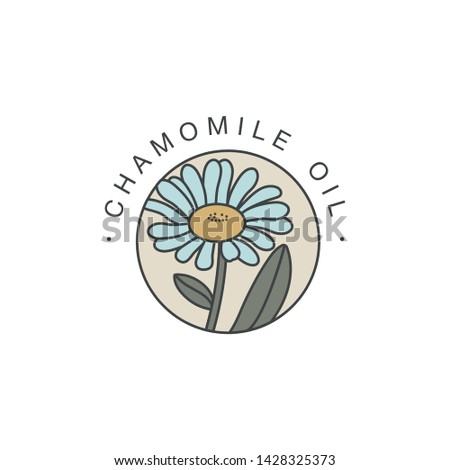 Vector design template and emblem - healthy and cosmetics oil. Chamomile natural, organic oil. Colorful logo in trendy linear style