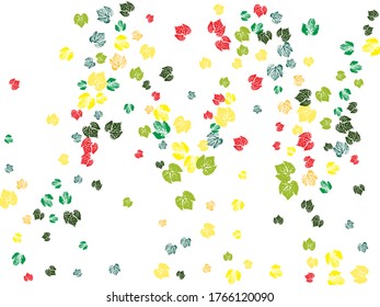 Vector design template ink splashes elements leaf print. Objects isolated on white. Printing on fabric, card. Monochrome artistic floral collection. 