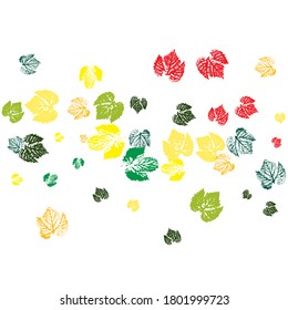 Vector design template ink splashes elements leaf print. Overlay template. Hi detailed texture of forest leaves Hi detailed texture of forest leaves