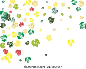 Vector design template ink splashes elements leaf print. Monochrome artistic floral collection. Black and white leaf blots. Monochrome artistic floral collection. 