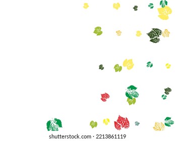 Vector design template ink splashes elements leaf print. Set of vector drawings with acrylic paints Hi detailed texture of forest leaves original creative illustration. 