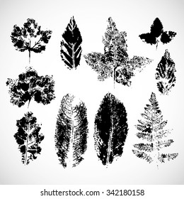 Vector  design template ink splashes elements leaf print