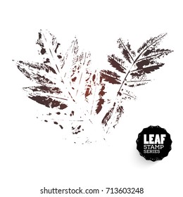Vector design template. Ink splashes element. Rowan leaf print. Hand made Ink stamp of a leaf. Seasons changing.