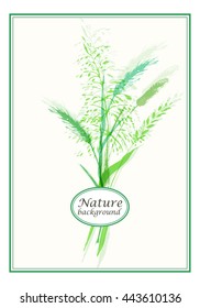 Vector design template. Meadow grass bouquet in green color. Retro styled nature background. 