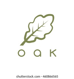 vector design template of the oak leaf 