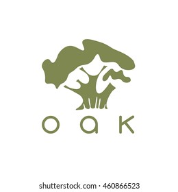 vector design template of the oak tree