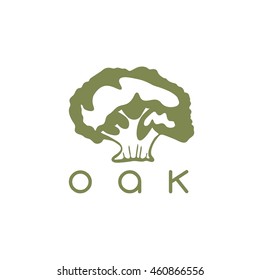 vector design template of the oak tree