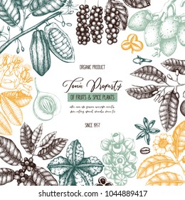 Vector design template with tonic and spicy plants. Hand drawn spices illustrations . Vintage frame with aromatic elements. Sketched flowers, leaves, seeds, fruits, nuts, beans.