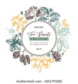 Vector design template with tonic and spicy plants. Hand drawn spices illustrations. Vintage frame with aromatic elements. Perfumery and cosmetics ingredients.