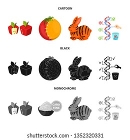 Vector design of test and synthetic icon. Collection of test and laboratory stock vector illustration.