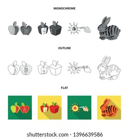 Vector design  test and synthetic icon. Collection  test and laboratory stock symbol for web.