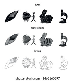 Vector design of test and synthetic icon. Collection of test and laboratory vector icon for stock.