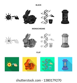 Vector design of test and synthetic logo. Collection of test and laboratory stock symbol for web.