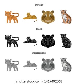 Vector design of tiger and asian logo. Collection of tiger and tattoo stock vector illustration.