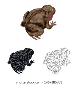 Vector design of toad and biology icon. Set of toad and tropical vector icon for stock.