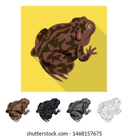 Vector design of toad and biology sign. Collection of toad and tropical stock vector illustration.