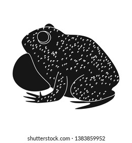 Vector design of toad and biology symbol. Collection of toad and brown vector icon for stock.
