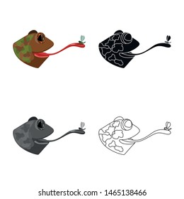 Vector design of toad and head symbol. Collection of toad and stickyl stock vector illustration.