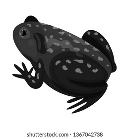 Vector design of toad and tropical icon. Collection of toad and ecology stock symbol for web.
